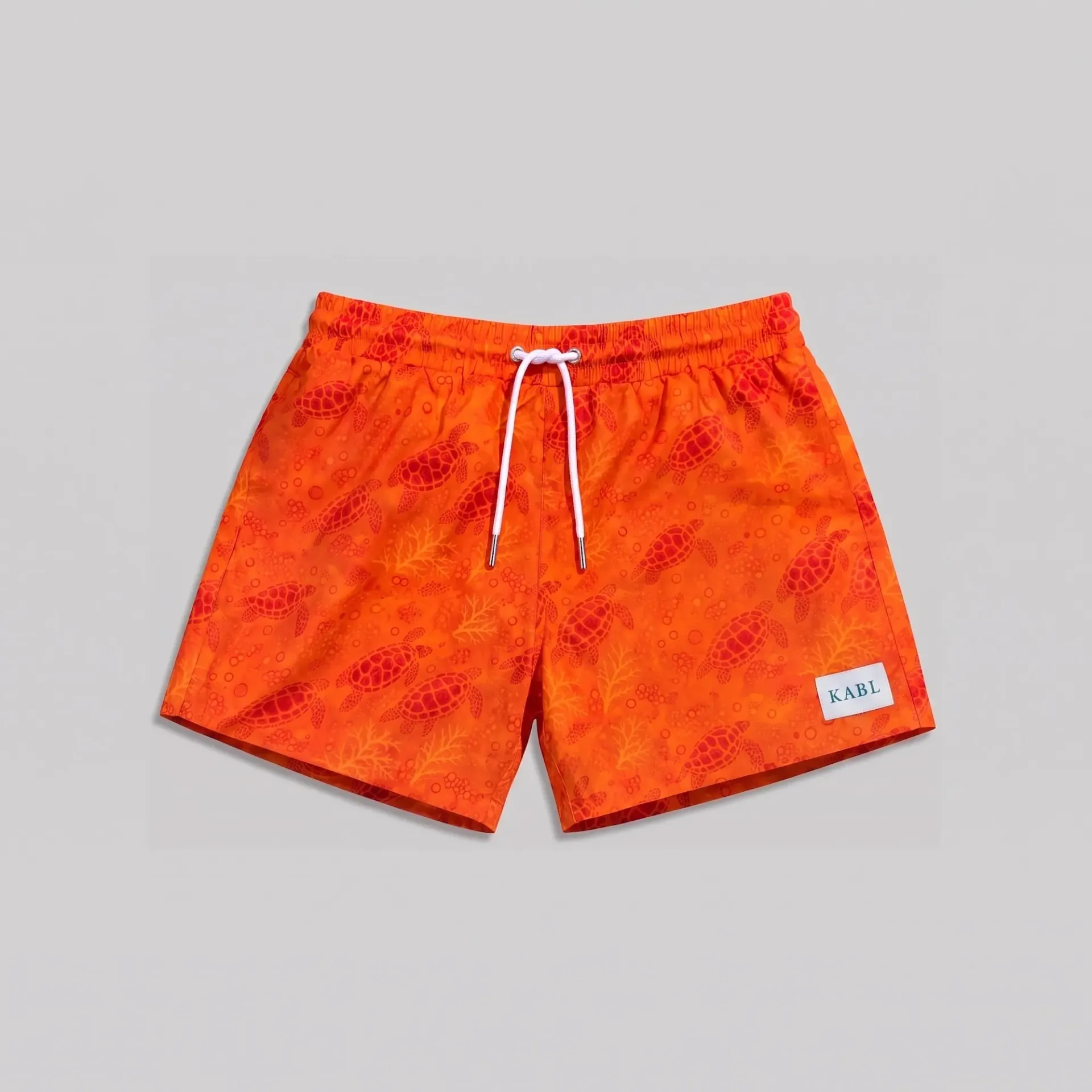 Orange turtle 